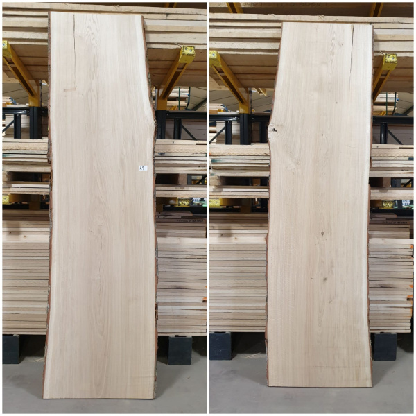 OAK-29.jpg